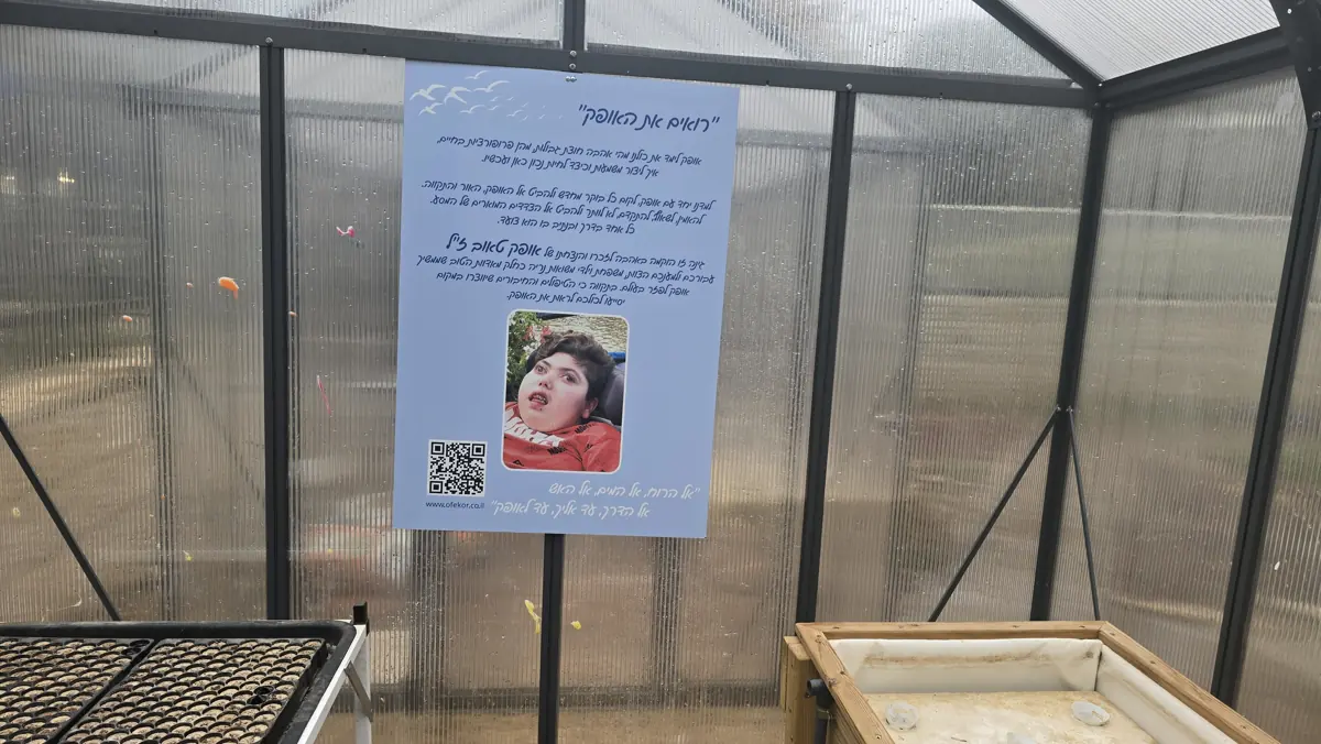 החממה בבית הספר משואות נריה, עם שלט לזכרו של אופק